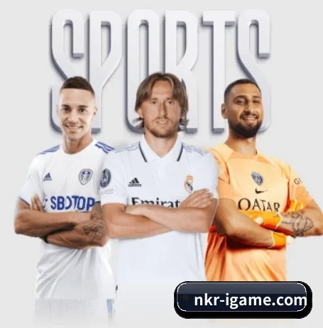nkr-igame.com APP(ayx.com)